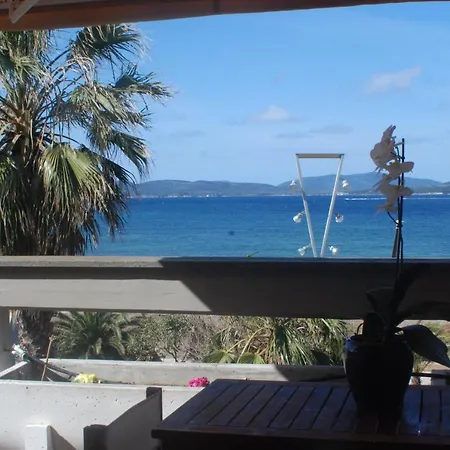 Interno 4 ألغيرو